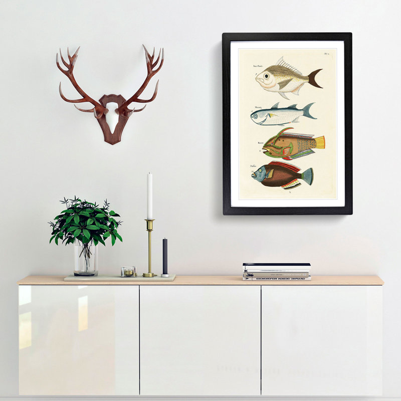 East Indies Fish Illustrations Fol. 2 by Louis Renard - Picture Frame Painting Print, 48cm H x 36cm W x 2cm D, Black Framed