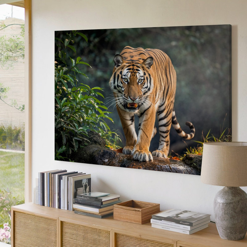 Toile, un tigre féroce et puissant rôde devant son regard intense, fixé devant, H 30 po x l 30 po