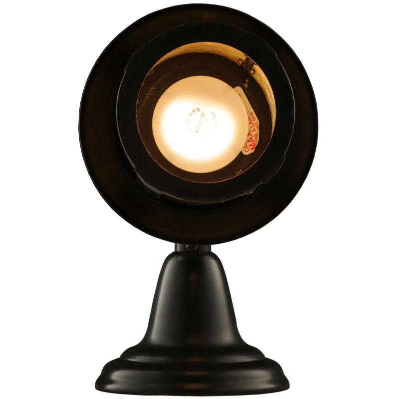 Rustic Lodge 1 - Light Armed Sconce
