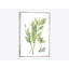 « aquarelle herbes iii », reproduction sur toile-28020447-72556063-72556064