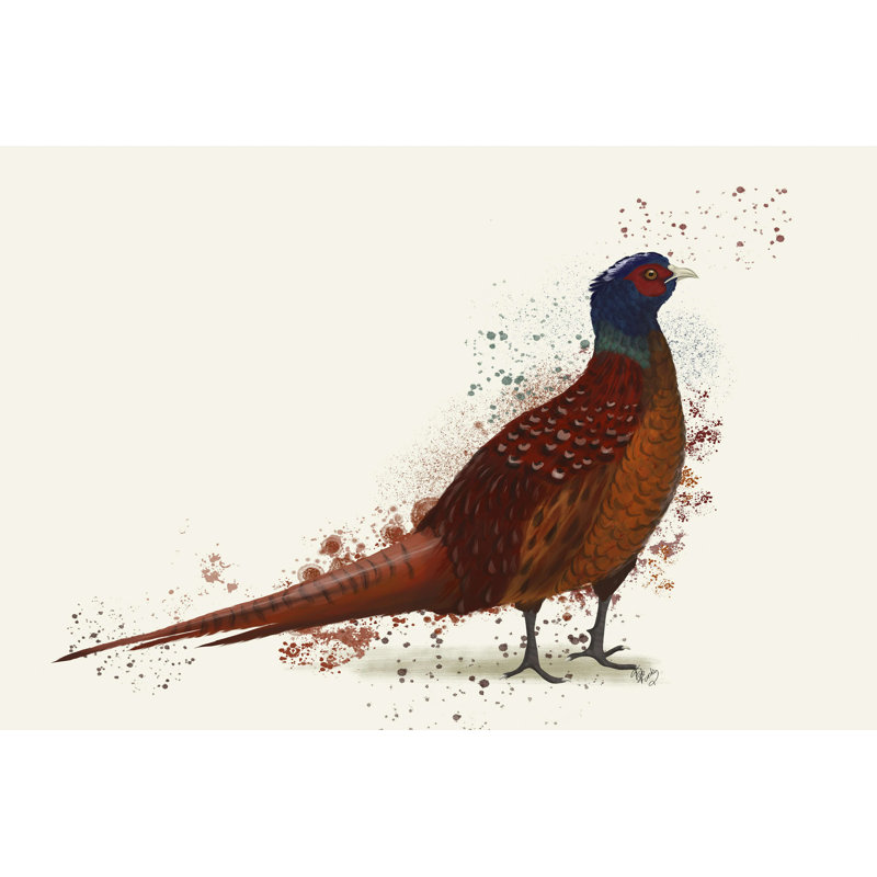 Pheasant Splash 4 - Impression sur toile tendue, H 8 po x l 12 po