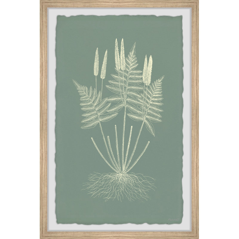 Ferns On Sage VII by Marmont Hill - Single Picture Frame Painting, 20cm H x 30cm W