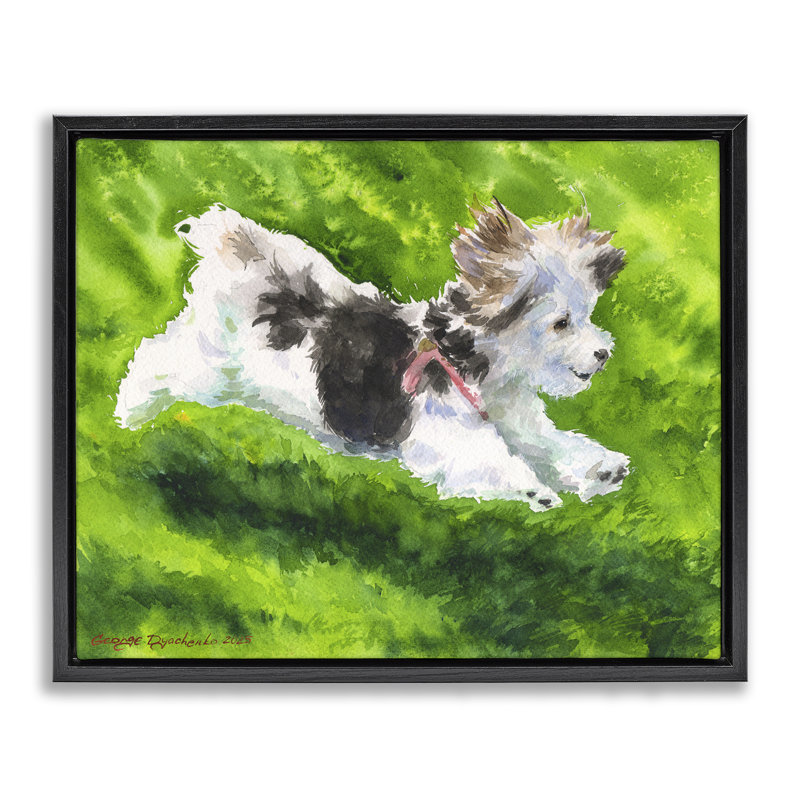 Cadre flottant Happy Maltipoo, design par George Dyachenko, Cadre flottant noir de jais, H 17 po x l 21 po