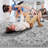 Area Rug, Collection Grey / Oriental-942330900