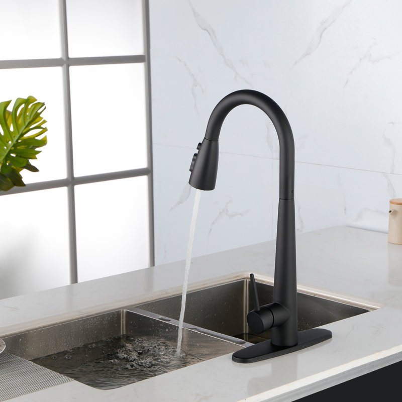Single Handle Stainless Steel Kitchen Sink Faucet With Pull Down Sprayer, Matte Black