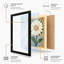 Framed Daisy Study Botanical - Framed Print-652035962-652035957