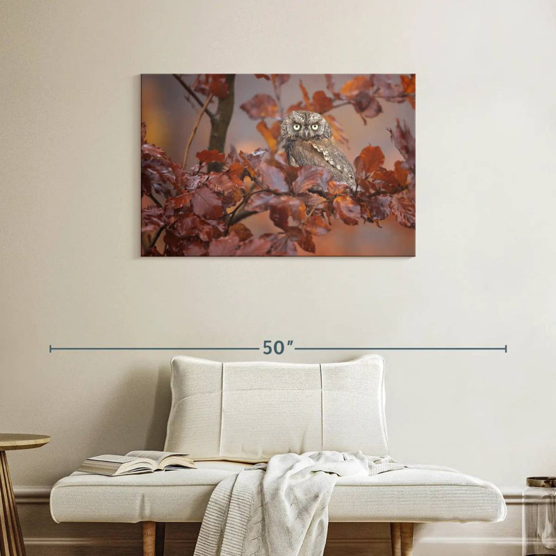 Brampt Lone Scops Owl, 24" H x 36" W