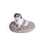 Coussin de lit pour animaux canvas cover