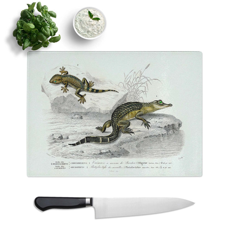 Tempered Glass Alligator and Lizard Illustration by Charles D' Orbigny Chopping Board, 39cm W x 28.5cm L