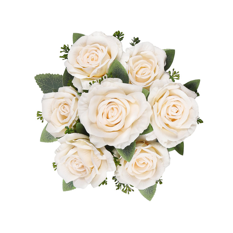 Doux rosier, Ivory