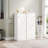 Shoe Cabient With Sliding Door-458543296
