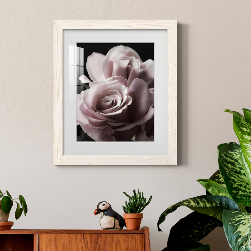 Rose noire II - photographie, Papier encadré blanc, H 37,5 po x l 27,5 po x P 1,5 po