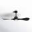 Popovich 52'' Ceiling Fan with LED Lights-2048101143