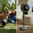 Shark 37" Oscillating Pedestal/Standing Fan