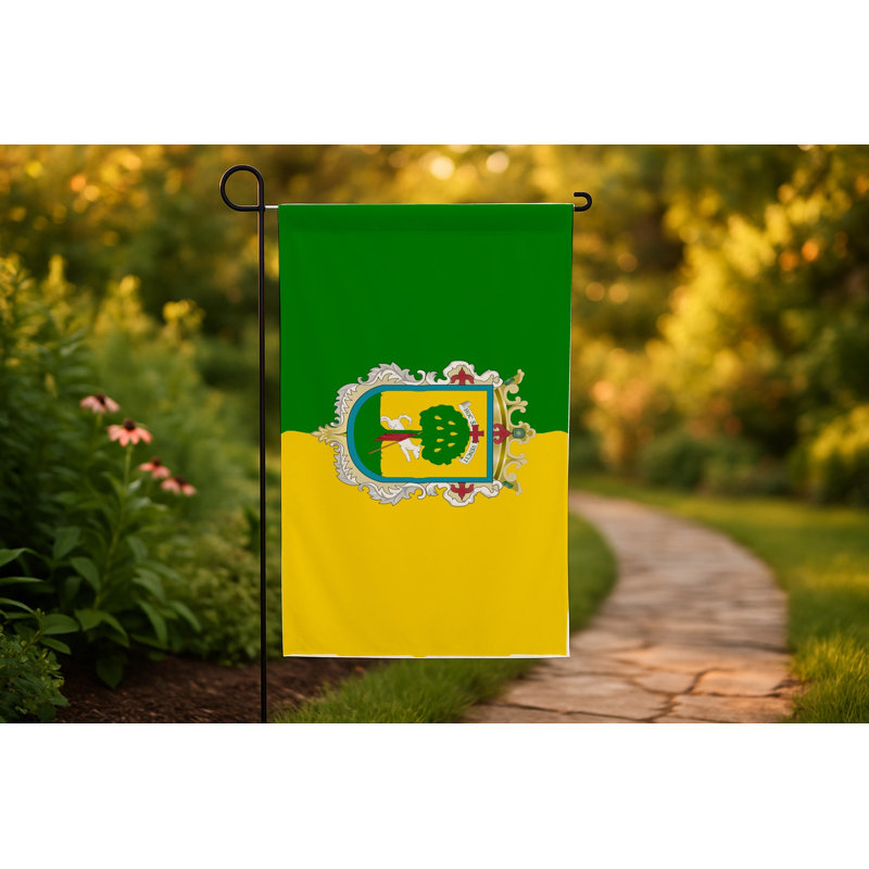 Drapeau de la ville de Zapopan - drapeau extérieur, H 24 po x l 36 po