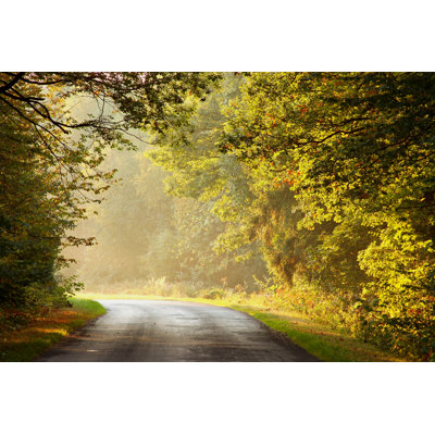Route à travers la forêt - Photographie sur toile tendue