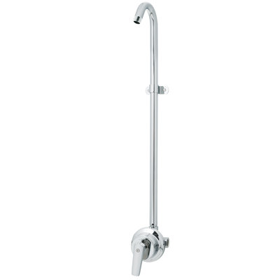 Sentinel Mark II Exposed Shower System