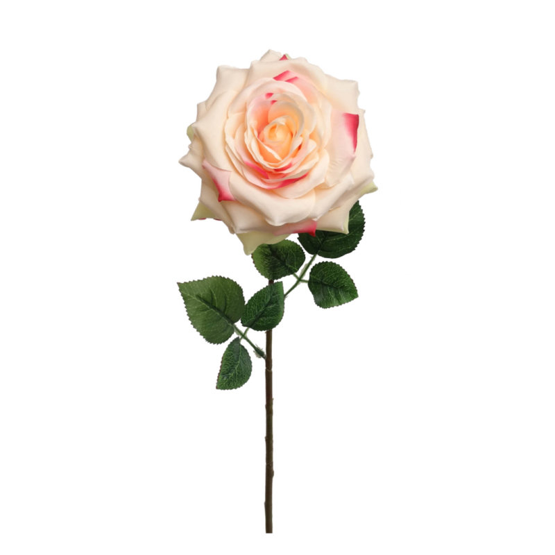 Tiges de roses vibrantes