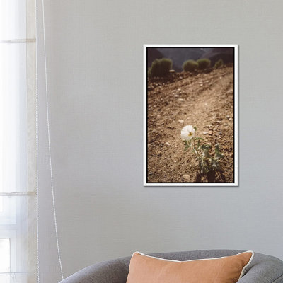 Yosemite Bloom III by Bethany Young - Print on Canvas