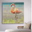 " Flamingo Fancy II "-32972403-33511468