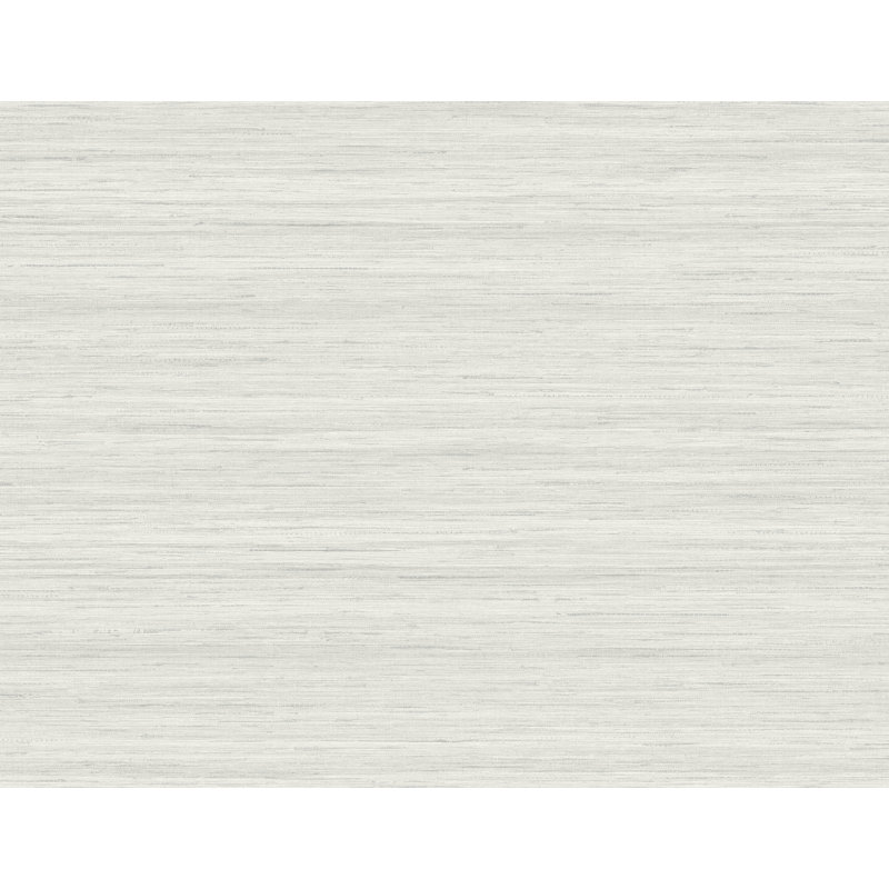 Rouleau de papier peint L 27 pi x l 27 po Tahiyah, Ardoise