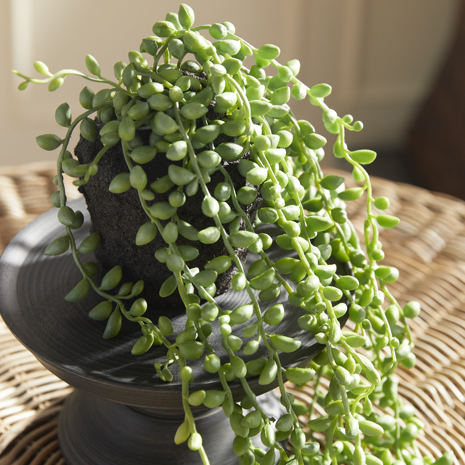 26" Succulent Plant in Planter