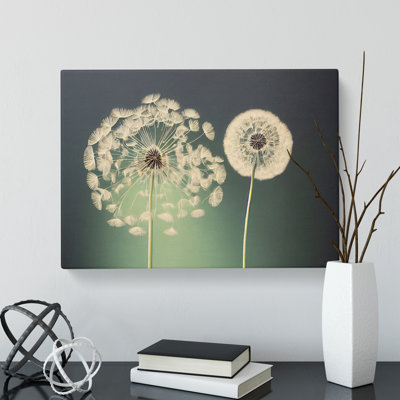 Wholesome Dandelion Flowers - Wrapped Canvas