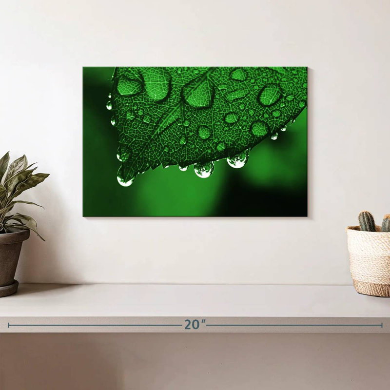 Harnek Leaf Raindrops, 8" H x 12" W
