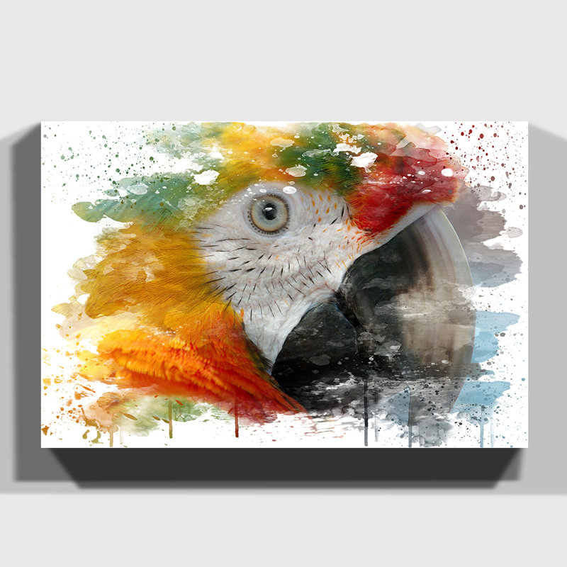 Macaw Parrot Bird - Wall Art, 70cm H x 100cm W, Wrapped Canvas