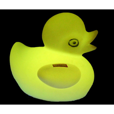 Éclairage de nuit de canard