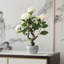 20" Artificial Camellia Tree With Realistic Flowers, Faux Bonsai Tree In Decorative Pot-372449947
