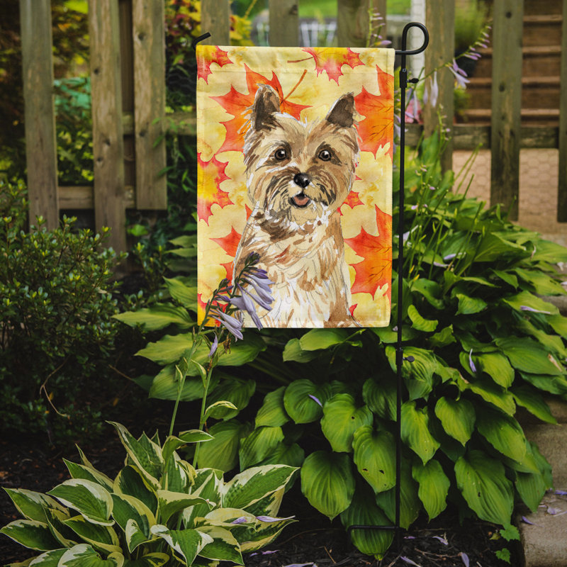 Automne 2 côtés en polyester 15 x 11 po drapeau de jardin, Cairn terrier brun