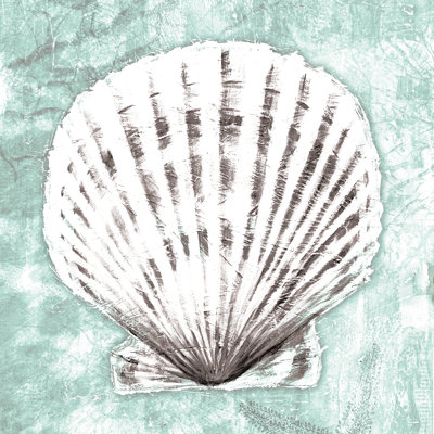 Mint Shell - Wrapped Canvas Print