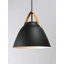 Gianni 1-Light Dome Single Pendant-171774743-171774742