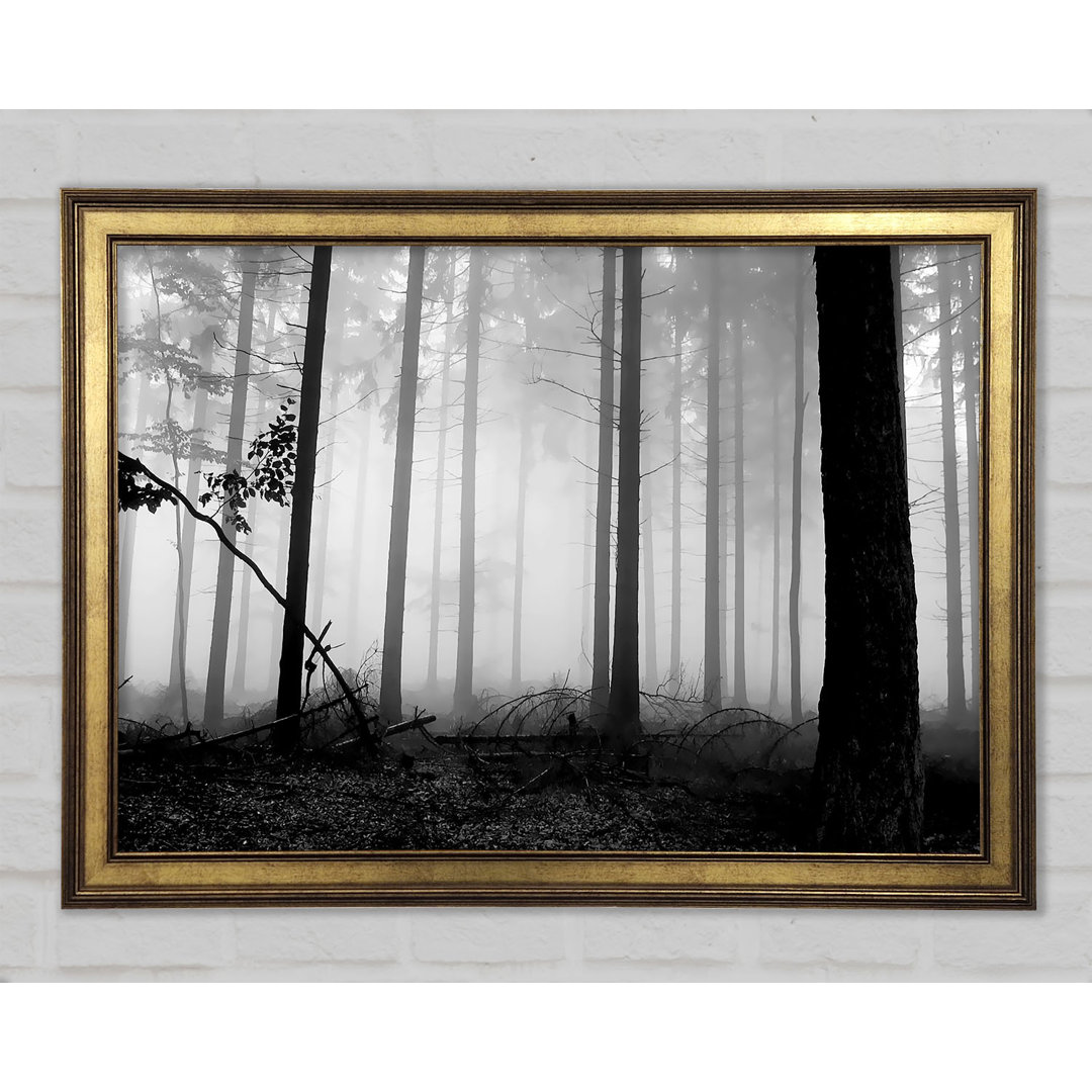 Black N White Woodland Mist - Druck