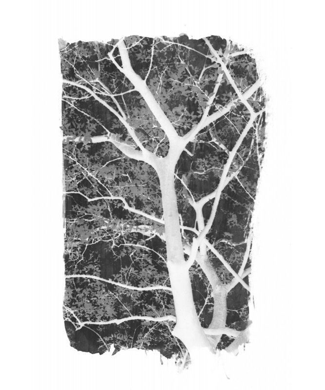 Wrapped Canvas Print, 50.8 cm H x 76.2 cm W
