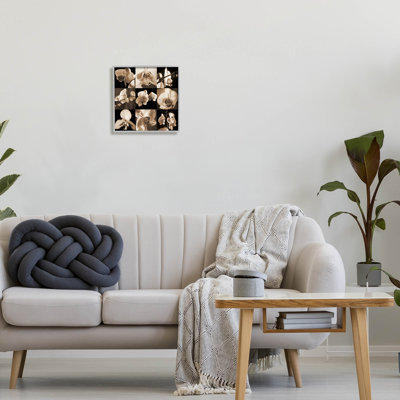 " Sepia Orchid Varied " Color Photography Print