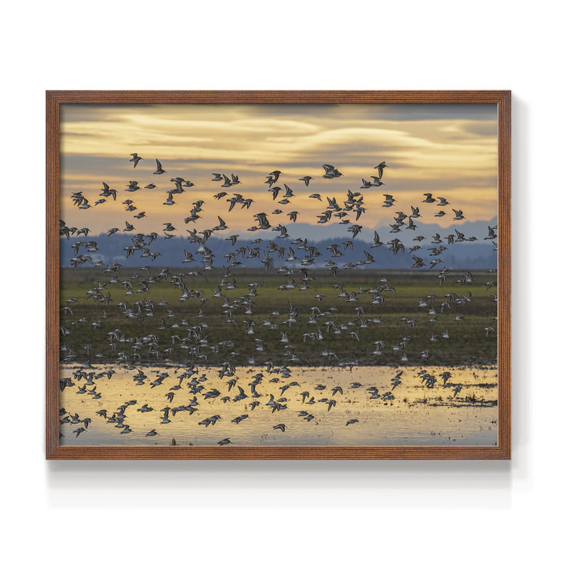 Sunset Flight -Framed Print - Restickable, H 11 po x l 14 po, Noyer