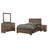 Shept 5-Piece Bedroom Set-107635864-107635865