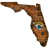 Jacksonville Jaguars