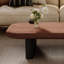 Table basse Mid-Century moderne avec pieds en dalle contrastante