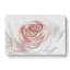 Pale Pink Rose In Abstract - Wrapped Canvas Painting-55312617