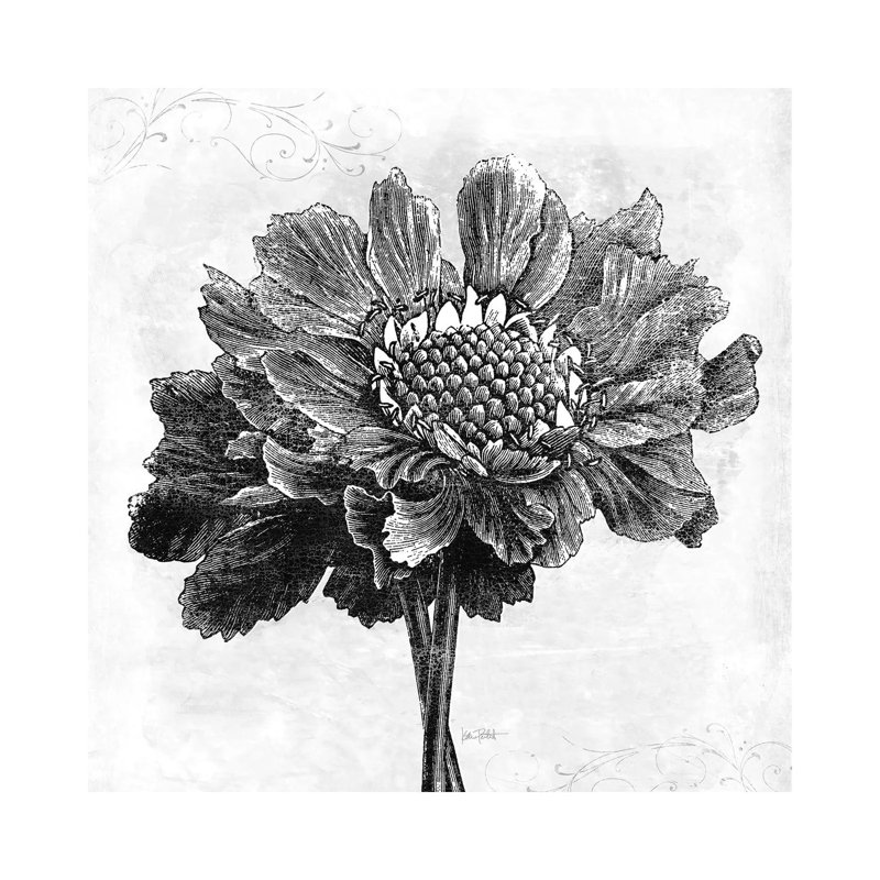 Spa Botanical I, B&W by Katie Pertiet - Wrapped Canvas Print, 30.48 cm H x 30.48 cm W