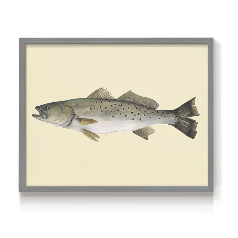 «Saltwater Species II», reproduction encadrée, H 8 po x l 10 po, Gris