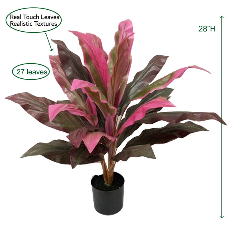 Cordyline en pot Real Touch, Couleur des fleurs / feuilles - Rouge, H 28 po x l 29 po x P 29 po