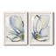 Cobalt & Paynes Petals I encadré mat - prêt à accrocher-828619728-828619735