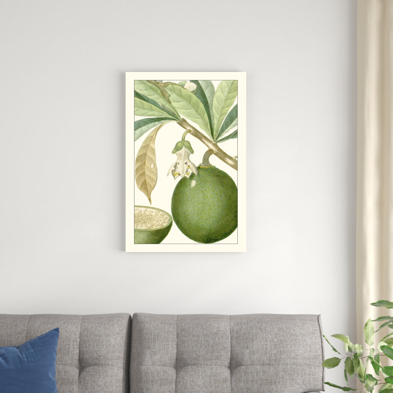 Turpin exotique botanique 8, H 30 po x l 20 po x P 1,25 po