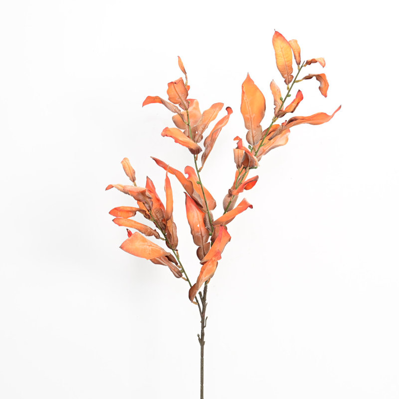 Branches de feuilles de pamplemousse 38 po