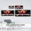 Red Tulip- Framed Canvas-236332753
