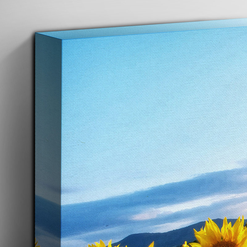 Wrapped Canvas Print, 35cm H x 50cm W